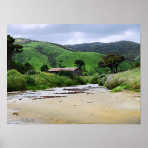 Cannibal Bay : Caitlins : New Zealand Poster