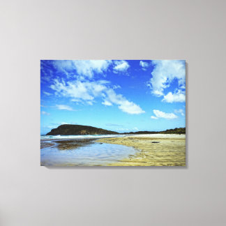 Cannibal Bay, Catlins : New Zealand Canvas Print