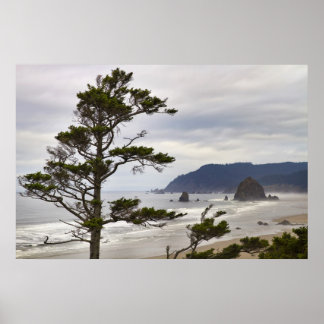 Cannon Beach Low Tide in Oregon Pacific Ocean Poster