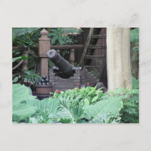 Cannon Postcard