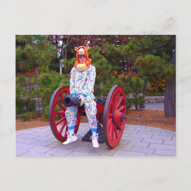 Cannon Straddler- postcard (Front)