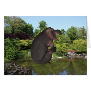 Cannonball Hippo