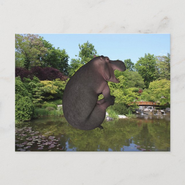 Cannonball Hippo Postcard (Front)