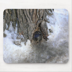 Cannonball Tree, Old Quebec City, Quebec, Canada Mouse Pad