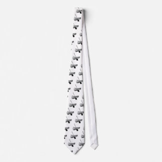Canoe & Paddle Tie
