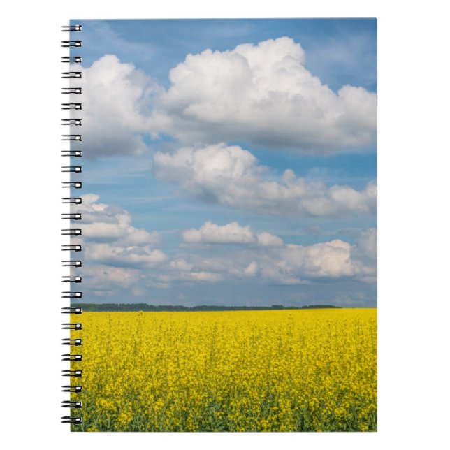 Canola Field & Clouds Spiral Notebook (Front)