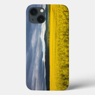 Canola field in morning light in the Flathead iPhone 13 Case