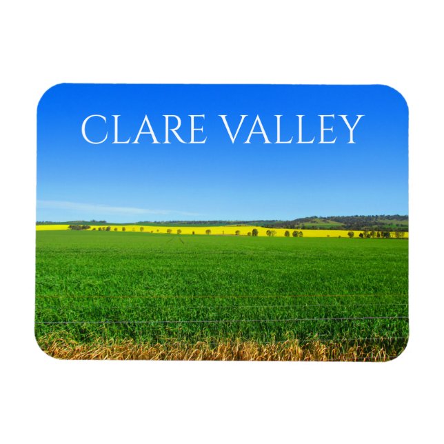 canola fields clare valley magnet (Horizontal)