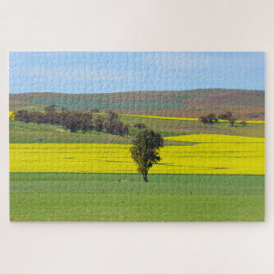 canola fields jigsaw puzzle