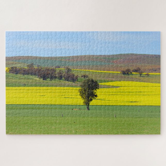 canola fields jigsaw puzzle (Horizontal)