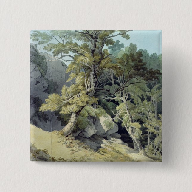 Canonteign, Devon 15 Cm Square Badge (Front)