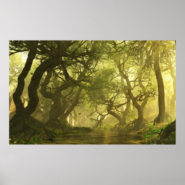 Canopy Creek Spring Poster (Front)