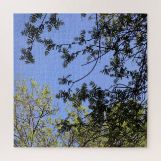 Canopy of Confusion Puzzle