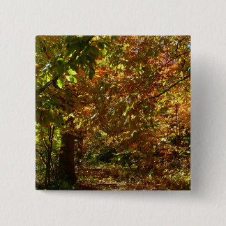 Canopy of Fall Leaves II Yellow Autumn Photography 15 Cm Square Badge