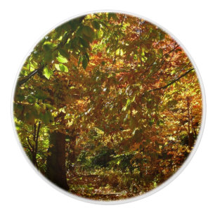 Canopy of Fall Leaves II Yellow Autumn Photography Ceramic Knob