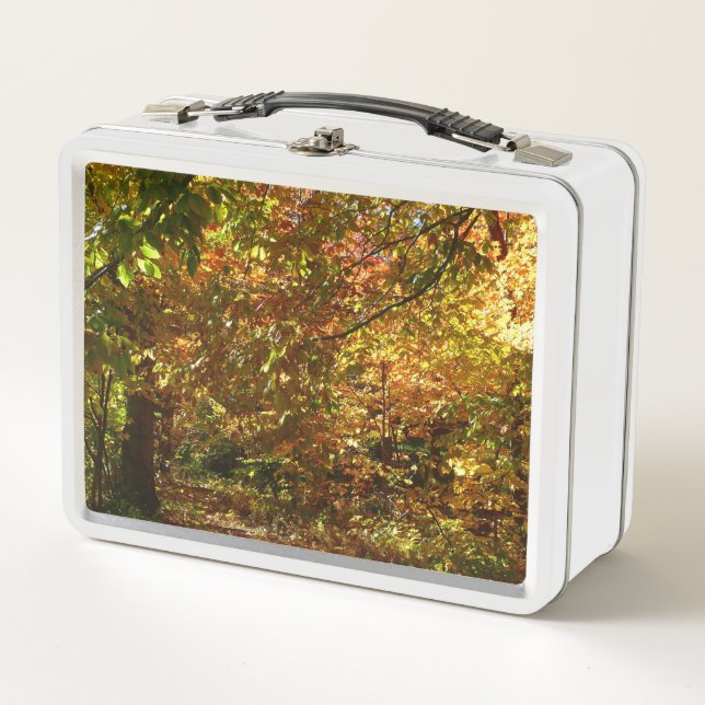 Canopy of Fall Leaves II Yellow Autumn Photography Metal Lunch Box (Front)