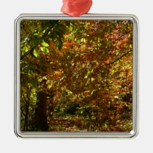 Canopy of Fall Leaves II Yellow Autumn Photography Metal Tree Decoration