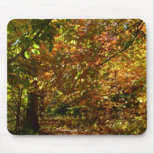 Canopy of Fall Leaves II Yellow Autumn Photography Mouse Pad