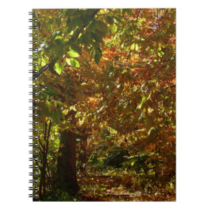 Canopy of Fall Leaves II Yellow Autumn Photography Notebook