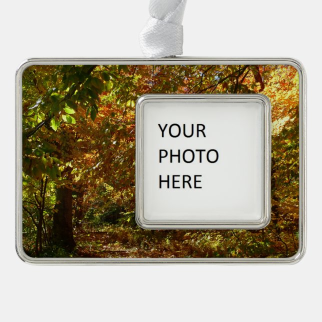 Canopy of Fall Leaves II Yellow Autumn Photography Silver Plated Framed Ornament (Front)
