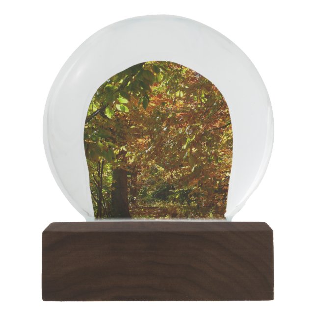 Canopy of Fall Leaves II Yellow Autumn Photography Snow Globe (Front)