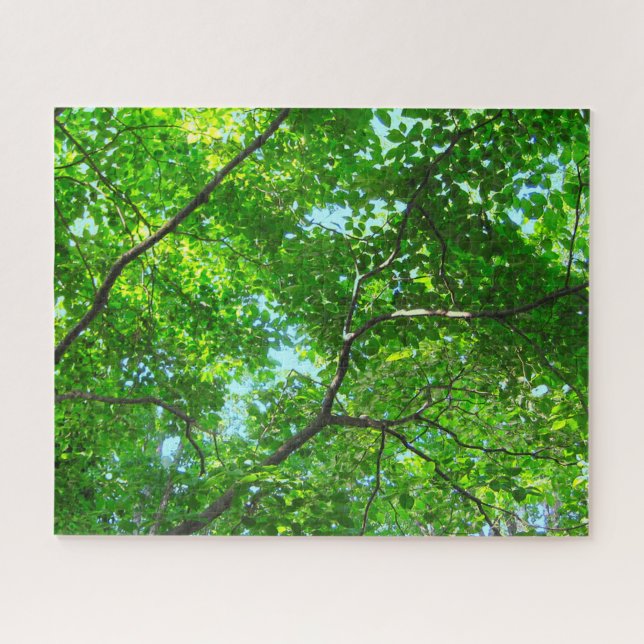 Canopy of Green, Leafy Branches with Blue Sky Jigsaw Puzzle (Horizontal)