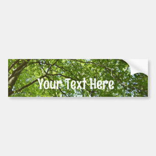 Canopy of Spring Leaves Green Nature Scene Bumper Sticker