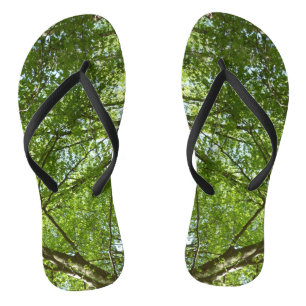 Canopy of Spring Leaves Green Nature Scene Jandals