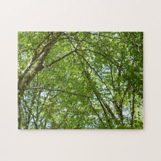 Canopy of Spring Leaves Green Nature Scene Jigsaw Puzzle