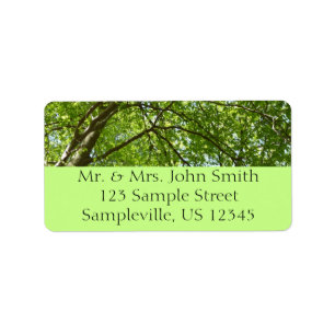 Canopy of Spring Leaves Green Nature Scene Label