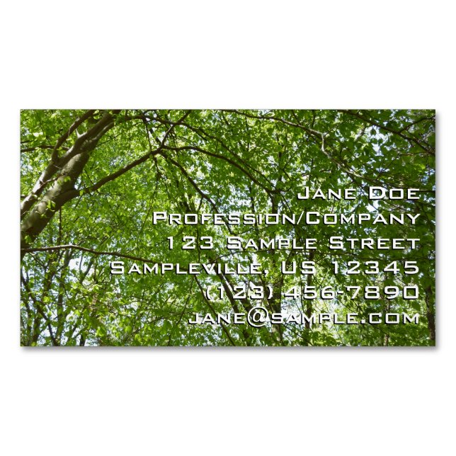 Canopy of Spring Leaves Green Nature Scene Magnetic Business Card (Front)