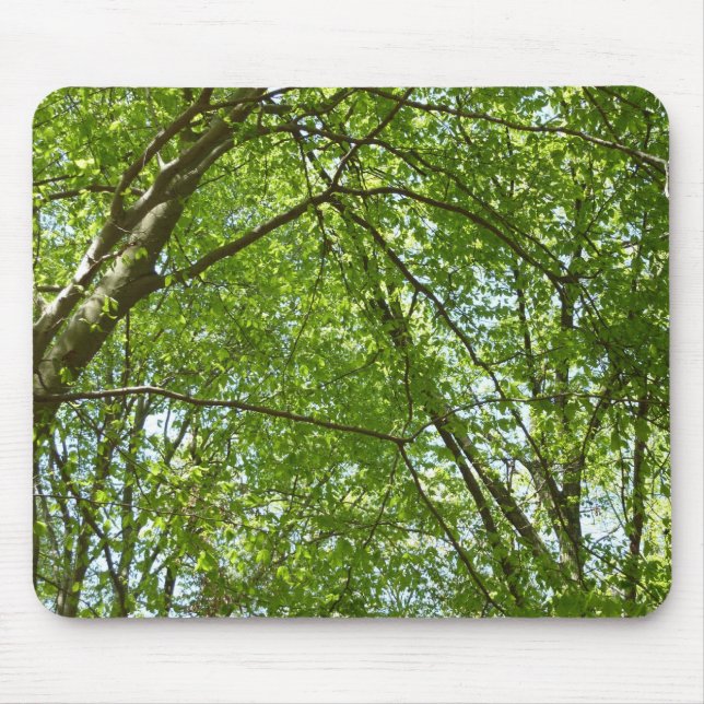 Canopy of Spring Leaves Green Nature Scene Mouse Pad (Front)