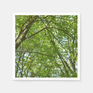 Canopy of Spring Leaves Green Nature Scene Napkin