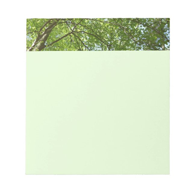 Canopy of Spring Leaves Green Nature Scene Notepad (Front)