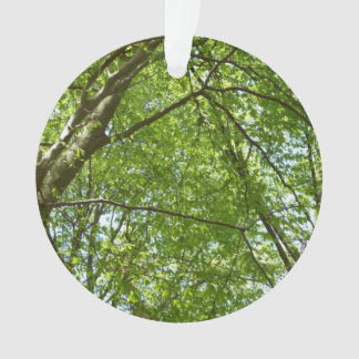 Canopy of Spring Leaves Green Nature Scene Ornament