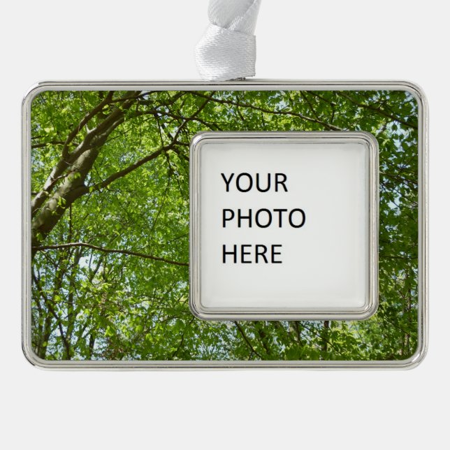 Canopy of Spring Leaves Green Nature Scene Silver Plated Framed Ornament (Front)
