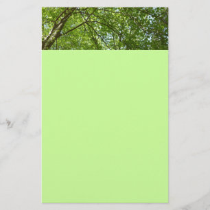 Canopy of Spring Leaves Green Nature Scene Stationery