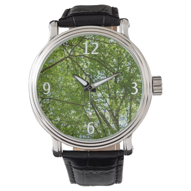 Canopy of Spring Leaves Green Nature Scene Watch (Front)