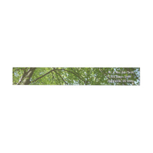 Canopy of Spring Leaves Green Nature Scene Wrap Around Label