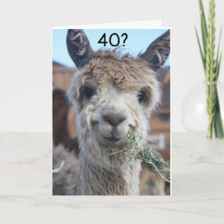 CAN'T BELIEVE YOU ARE CELEBRATING "40th" BIRTHDAY  Card