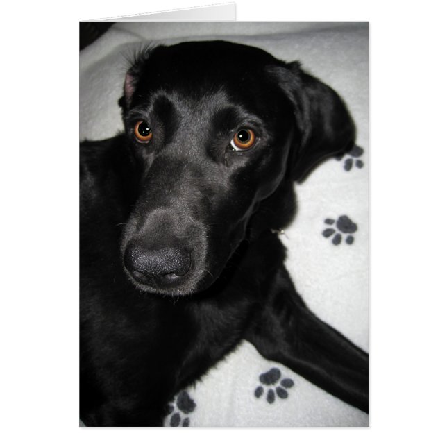 Can't Help Myself (Front)