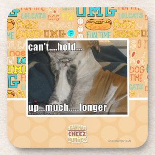 Can't Hold Up Much Longer Coaster