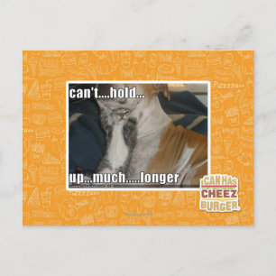 Can't Hold Up Much Longer Postcard