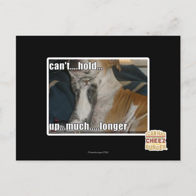 Can't Hold Up Much Longer Postcard (Front)