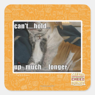 Can't Hold Up Much Longer Square Sticker