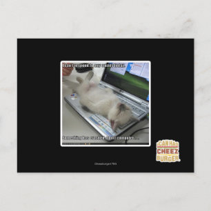 Can't respond postcard