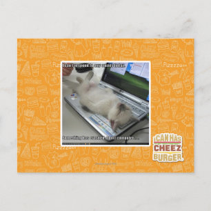 Can't respond postcard
