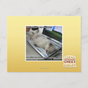 Can't respond postcard