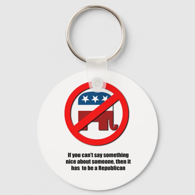 Can't say anything nice about Republicans Key Ring (Front)