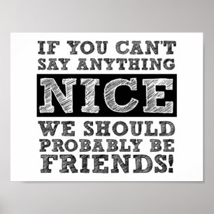 Can't Say Anything Nice Funny Poster